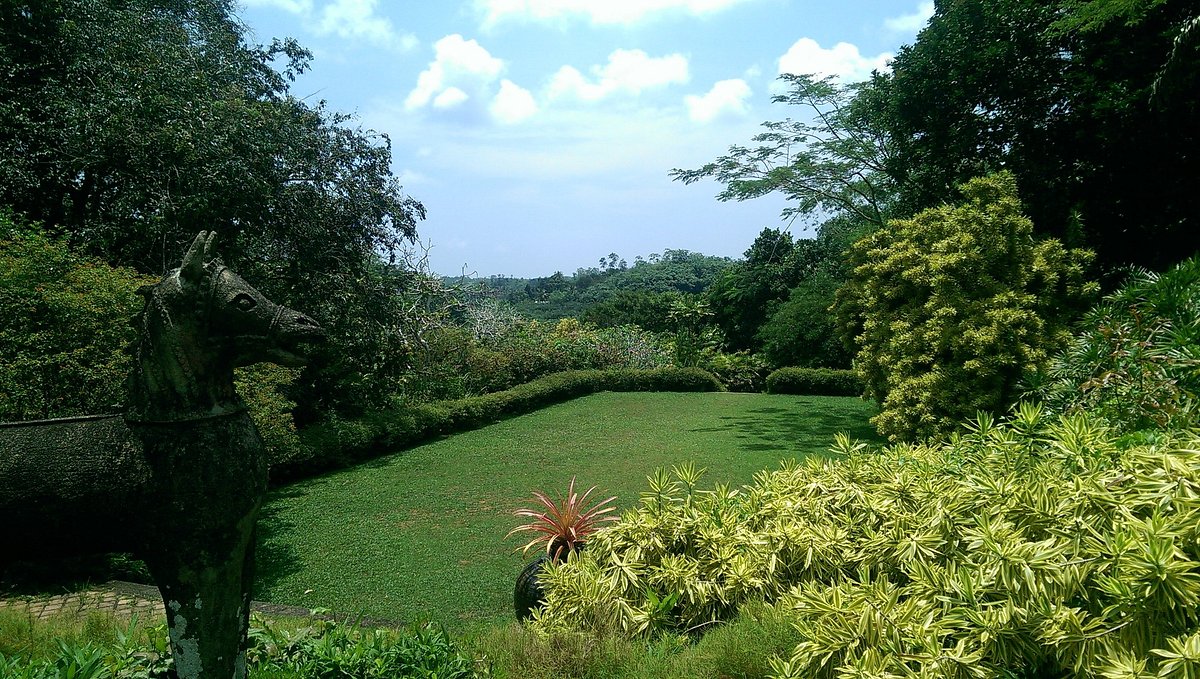 Explore Brief Garden.